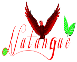 Cabinet Natangué consulting